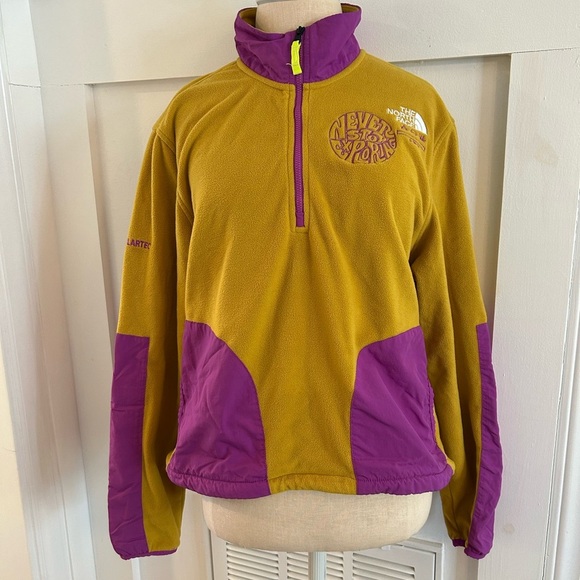The North Face Trailwear Fantasy Ridge 1/2 Zip Pullover Fleece Sweater - Picture 1 of 5